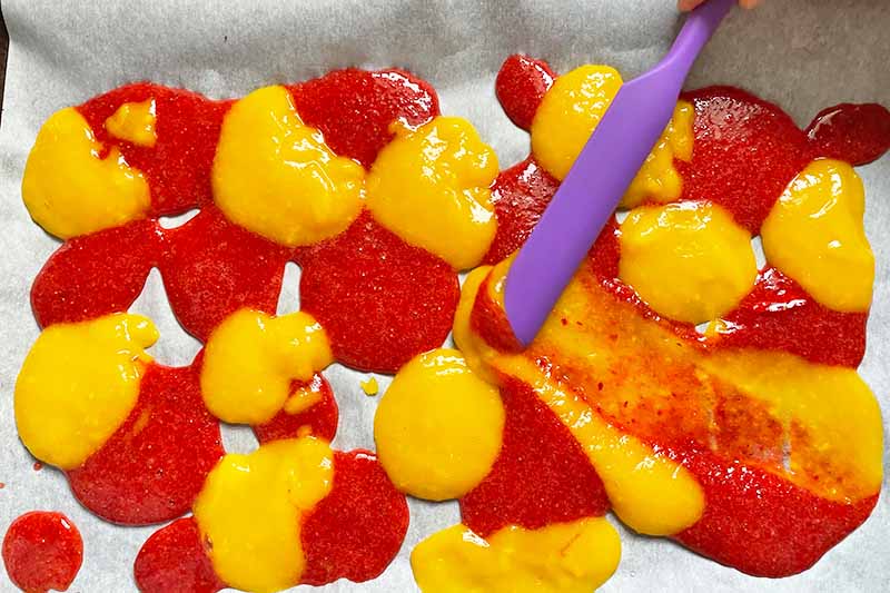 Horizontal image of dollops of orange and red puree spread with a purple spatula on a baking sheet.