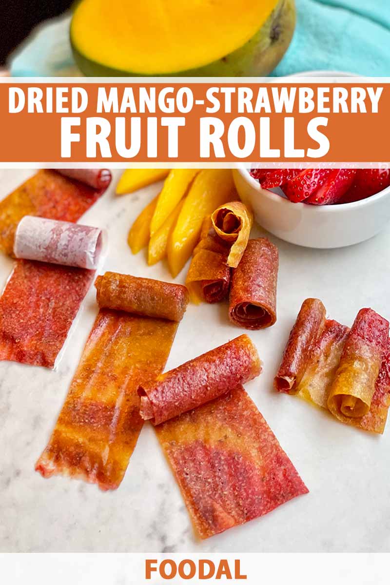 Vertical image of assorted fruit leathers on a white surface next to sliced mango and strawberry, with text on the top and bottom of the image.