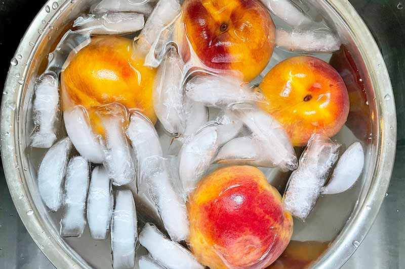 Horizontal image of shocking whole fruit in a bowl with water and ice.