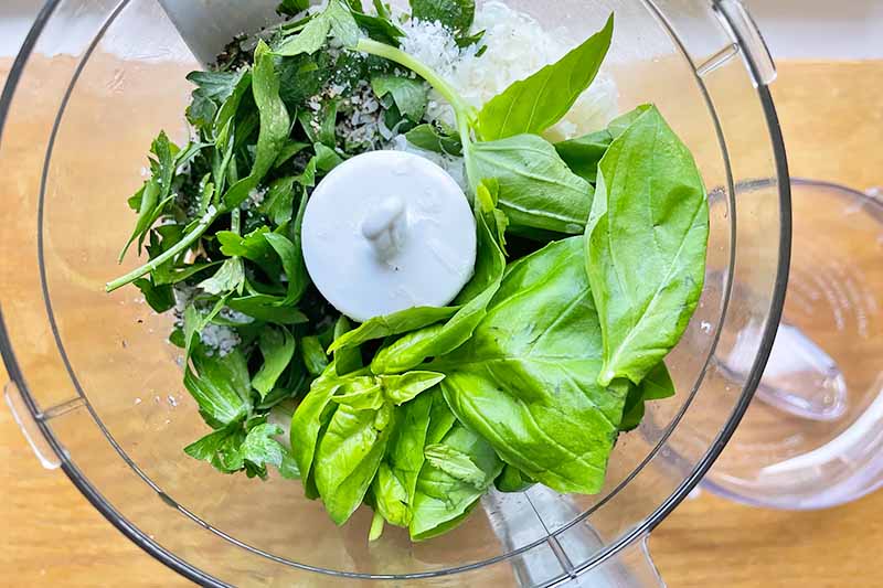 Horizontal image of fresh green herbs and seasonings in a food processor.