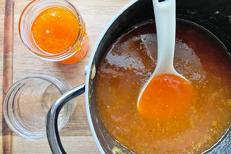 Horizontal image of a pot and jars filled with an orange-colored jelly, with a spoon inserted into the pot.