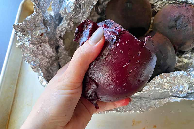 Horizontal image of a hand peeling off skin of a purple root vegetable over aluminum foil.