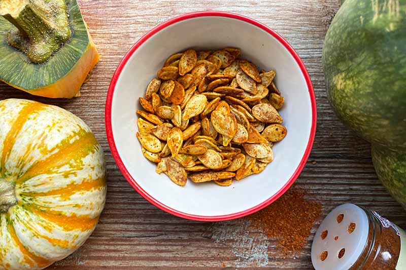 Horizontal image of a bowl with a red rim filled with spiced pumpkin seeds next to whole fresh winter squash.