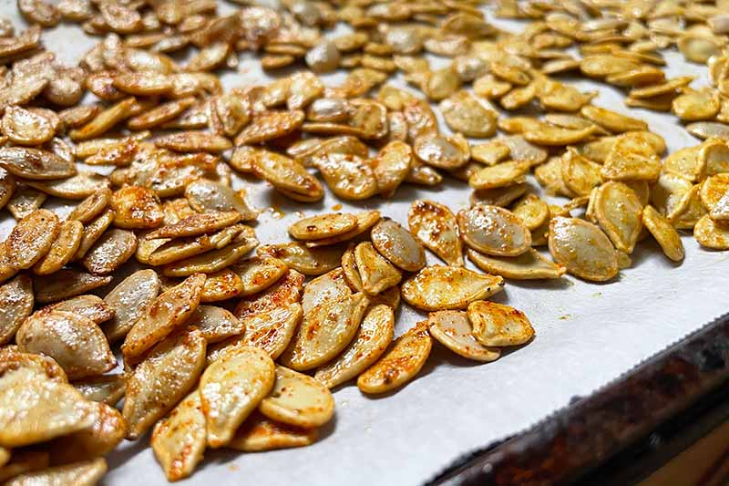 Horizontal image of spiced seeds on a baking sheet with parchment paper.