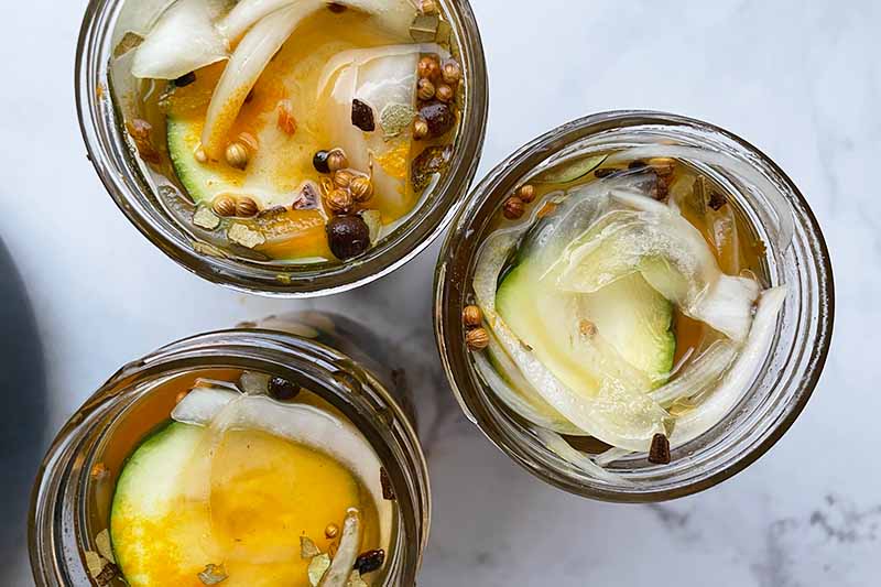 Horizontal image of three glass jars filled with sliced squash, onions, and brine.