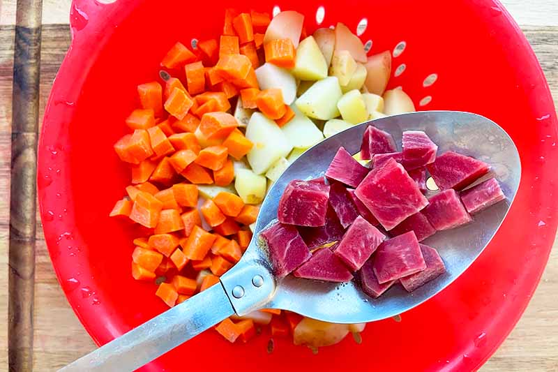 Horizontal image of boiled beets, carrots, and potatoes held with a spoon.