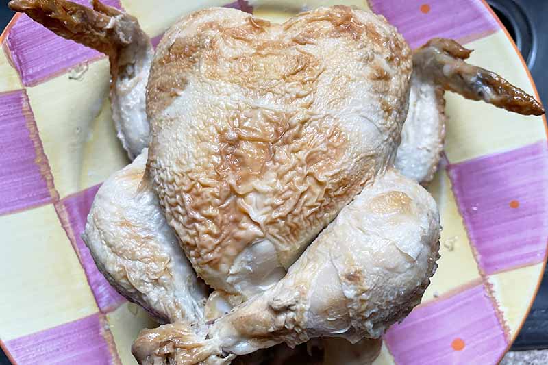 Horizontal image of a whole cooked poultry on a plate.