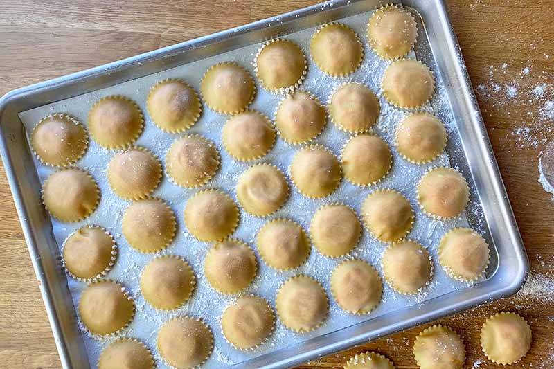 Horizontal image of rows of filled pasta on a floured baking sheet.