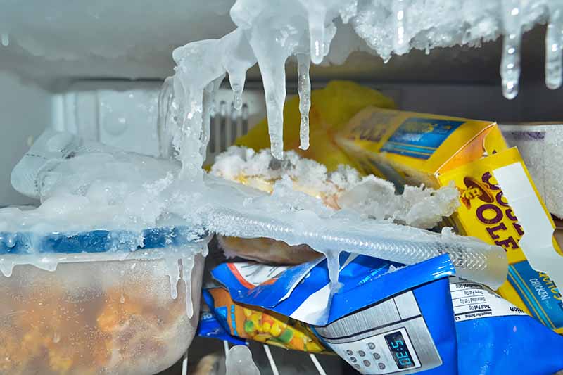 Horizontal image of badly frozen food packages.