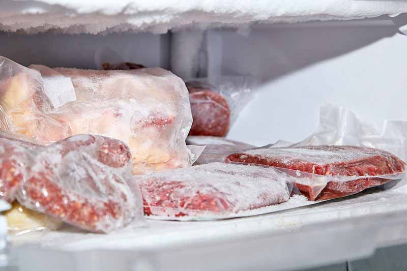 Horizontal image of various frozen meats in bags.