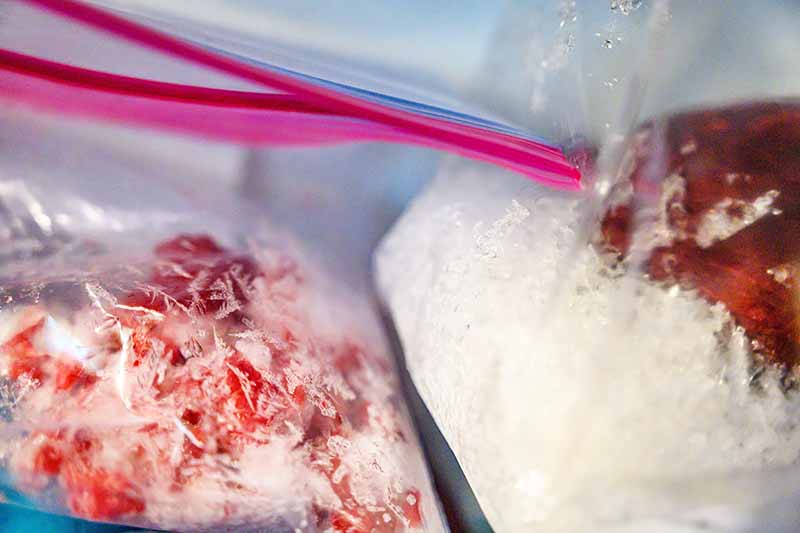 Horizontal image of bags of frozen fruit and ice.