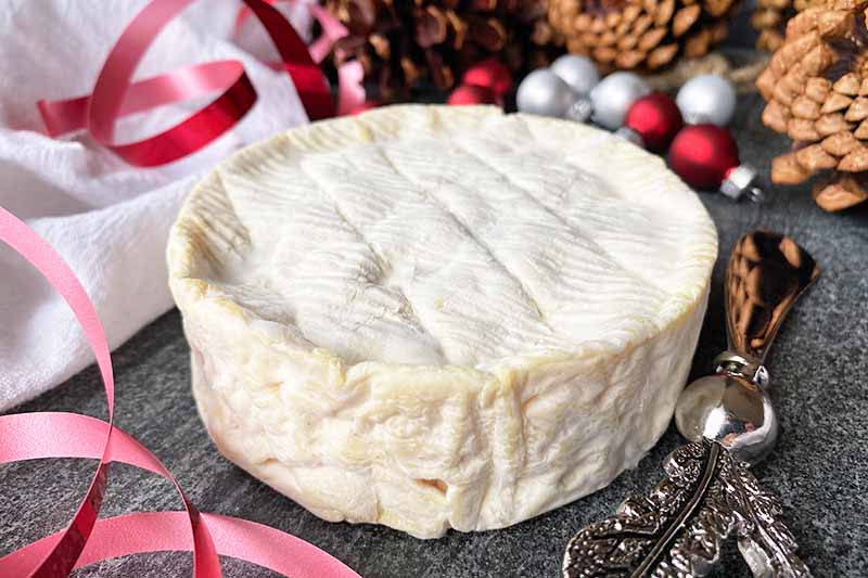 Horizontal image of a whole wheel of cheese on a slate board next to ribbon, ornaments, a cheesed knife, and pine cones.