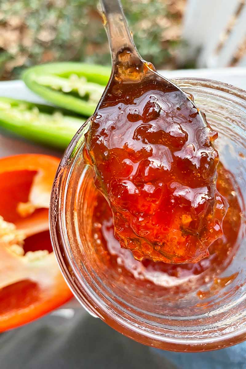 Vertical image of a spoon holding a bright red chunky jam in a glass jar.