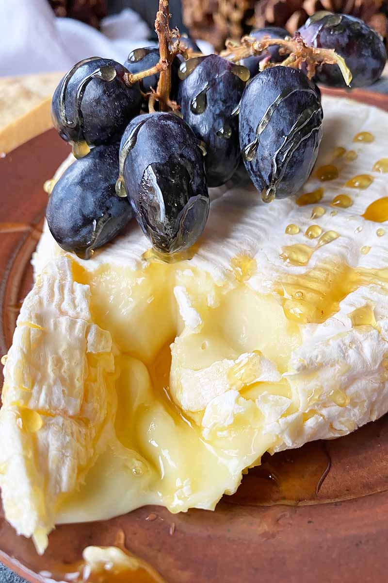 Vertical image of a slightly melted small cheese wheel topped with grapes and honey on a brown plate.