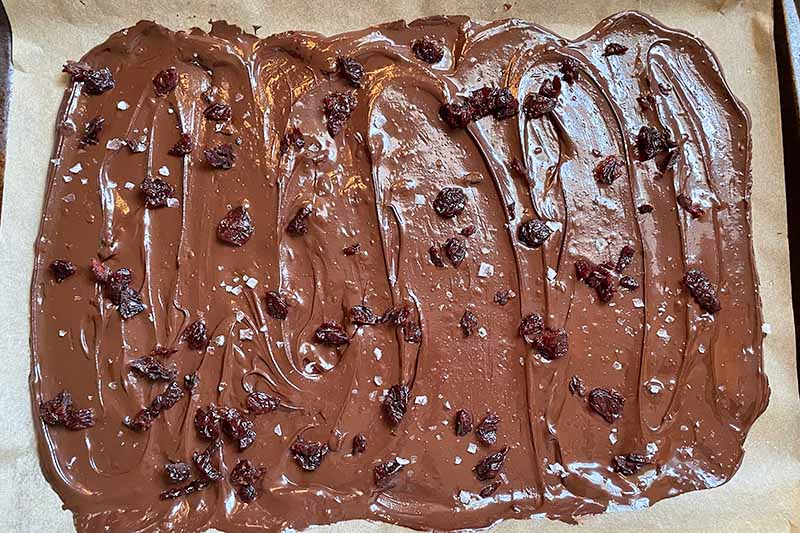 Horizontal image of a rectangle of melted chocolate scattered with salt and dried fruit pieces on parchment paper.