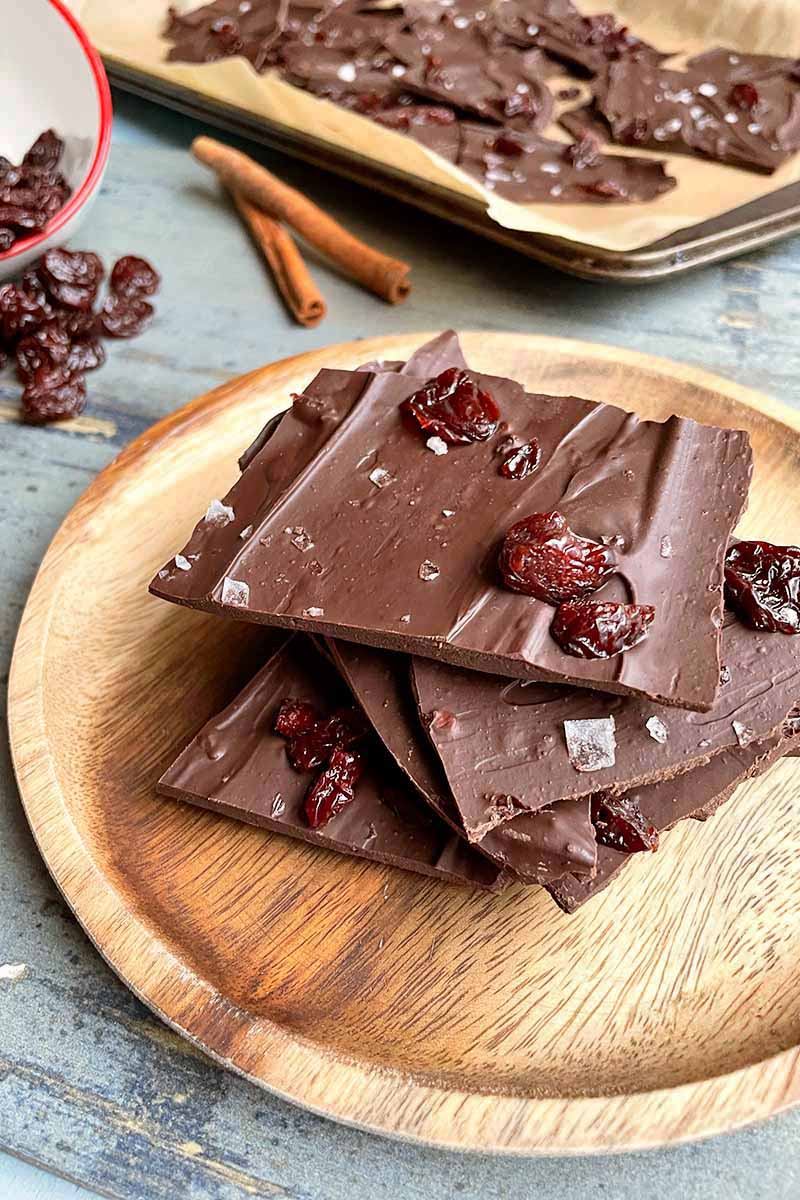 Vertical image of a wooden plate with squares of chocolate topped with dried cherries and sea salt.