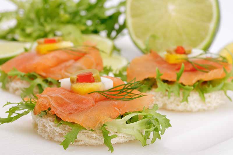 Horizontal image of appetizers with a bread base, greens, salmon, and vegetable garnish.