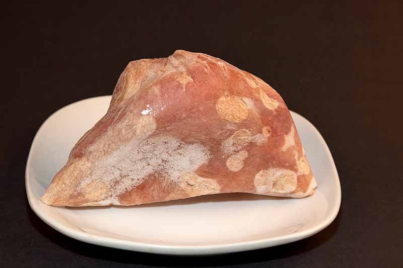 Horizontal image of a frozen piece of uncooked meat on a dish.