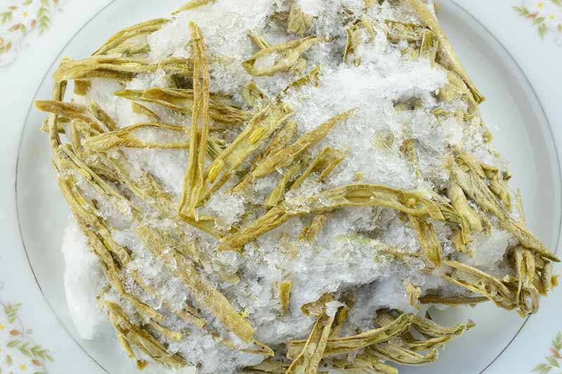 Horizontal image of frozen green beans with ice.