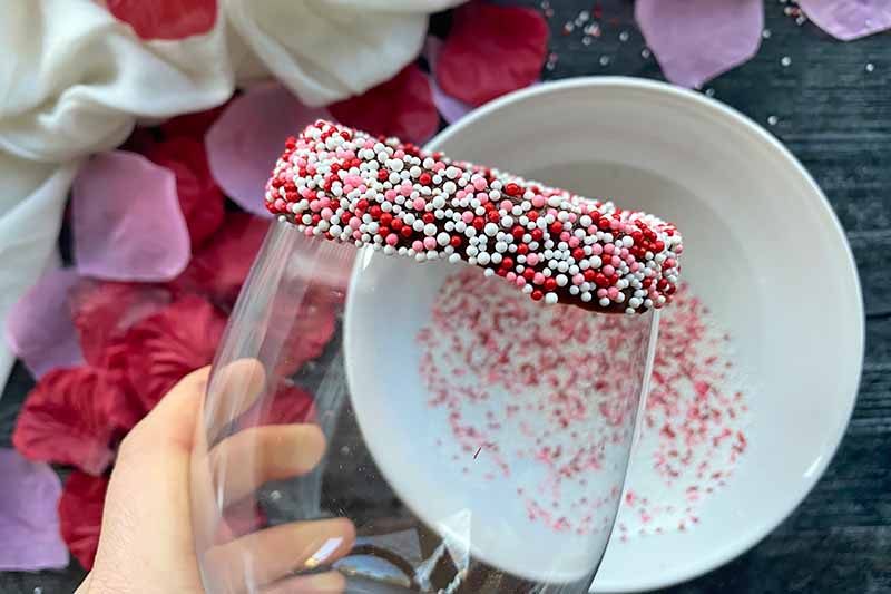 Horizontal image of a hand holding an empty glass dipped in chocolate with sprinkles.