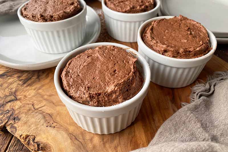 Horizontal image of a light brown mousse with a narrow clearance in between the rim of each ramekin.