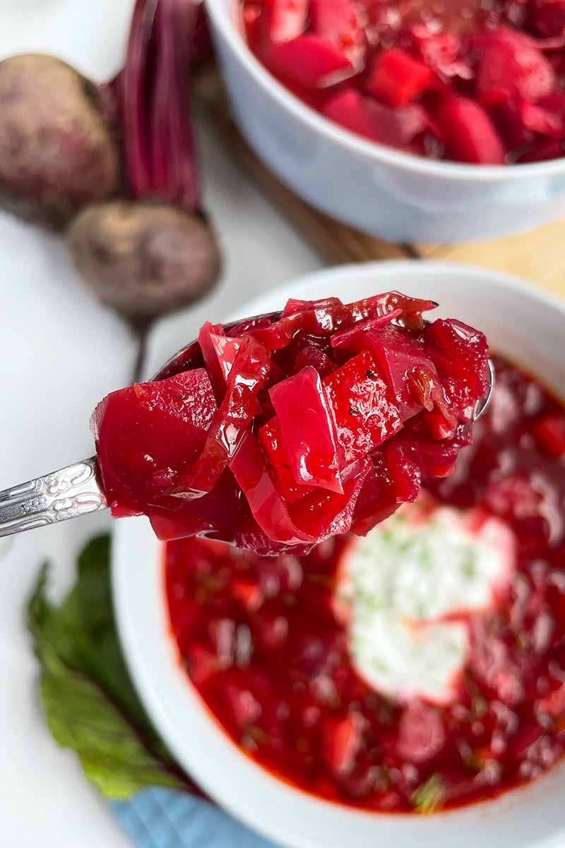 Vertical image of a spoonful of borscht over a bowl of the same soup.