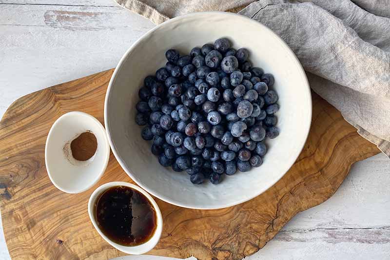 Roasted image of a large white bowl with fresh blueberries next to smaller bowls with dry and wet ingredients.
