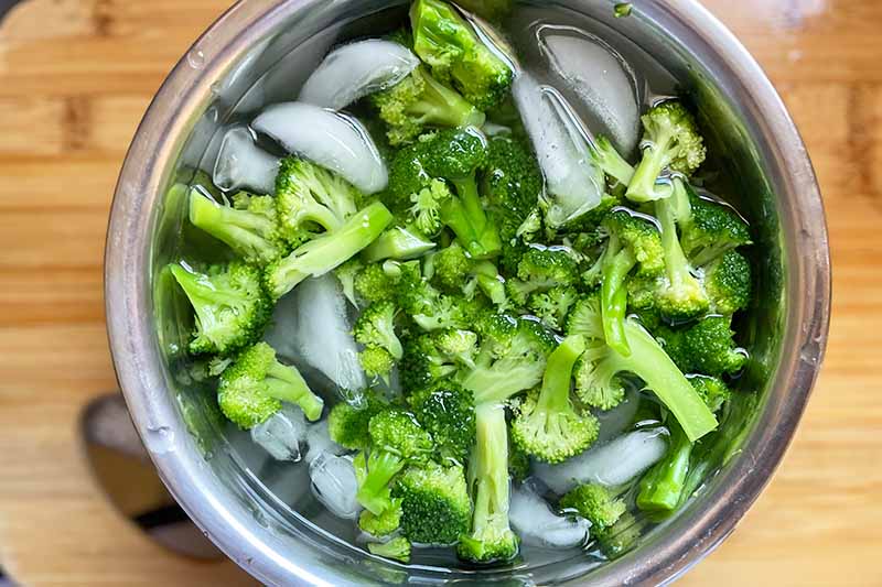 Horizontal image of shocking broccoli in a bowl of ice water.