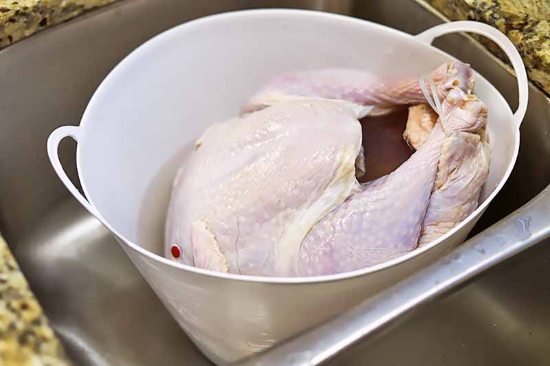 Horizontal image of a whole raw turkey in a large white pot in the sink.