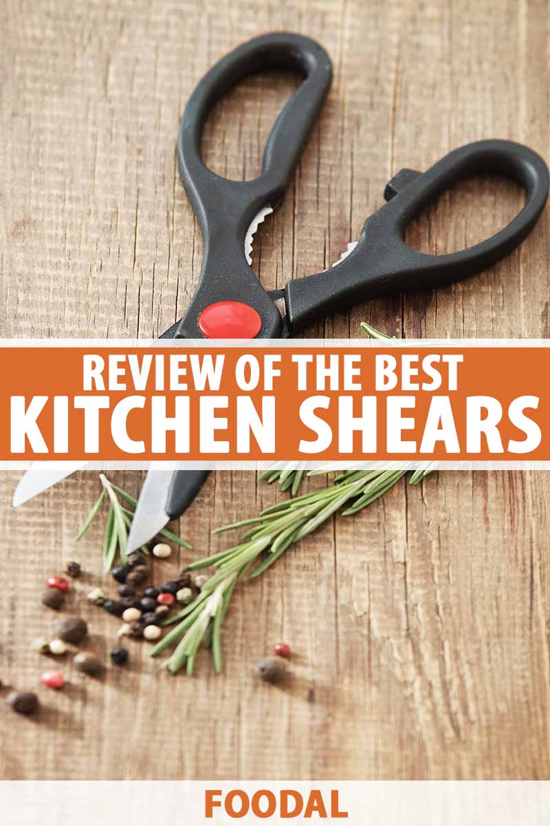 https://foodal.com/wp-content/uploads/2022/02/Review-of-the-Best-Kitchen-Shears-Pin.jpg