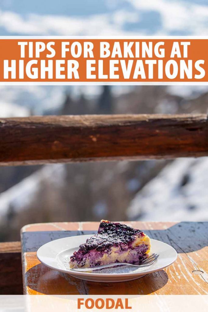 Vertical image of a blueberry cake on a white plate on a wooden table outside overlooking snowy mountains.