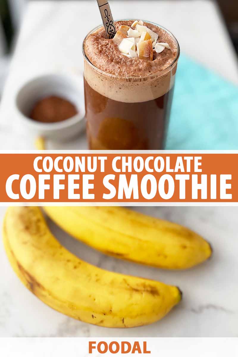 Vertical image of a dark chocolate beverage in front of bananas with a bowl of cocoa powder and a blue towel in the background.