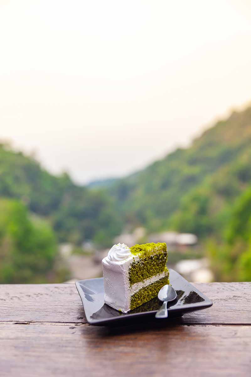 Vertical image of a green cake on a table overlooking mountains.