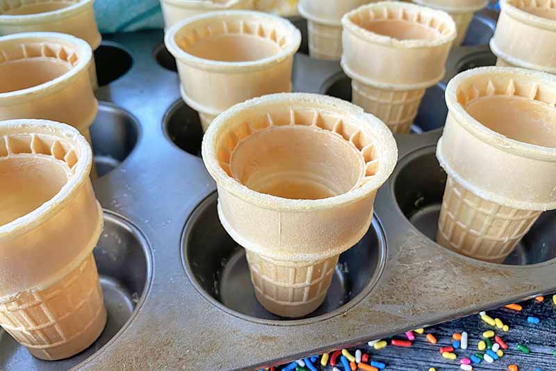 Horizontal image of empty cones in a muffin pan.
