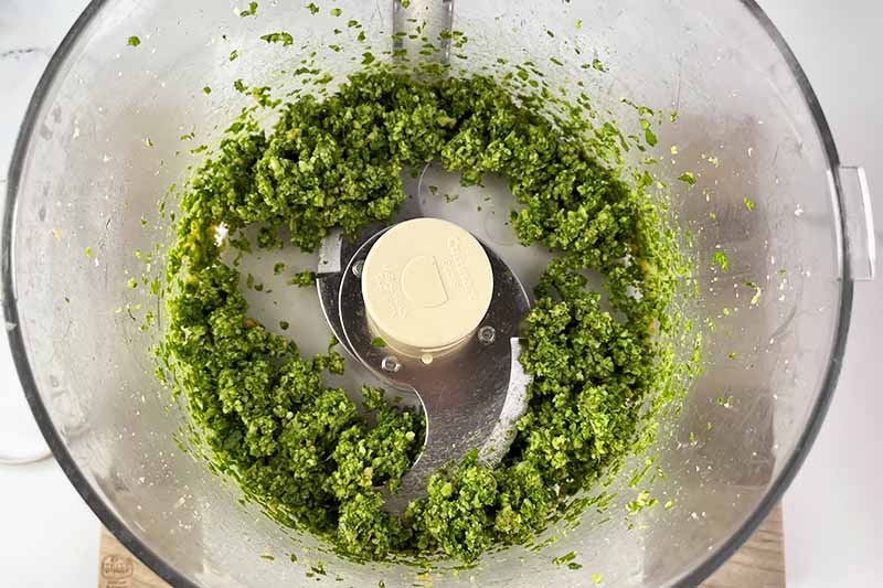 Horizontal image of a chunky mixture of herbs, nuts, and seasonings in a food processor.