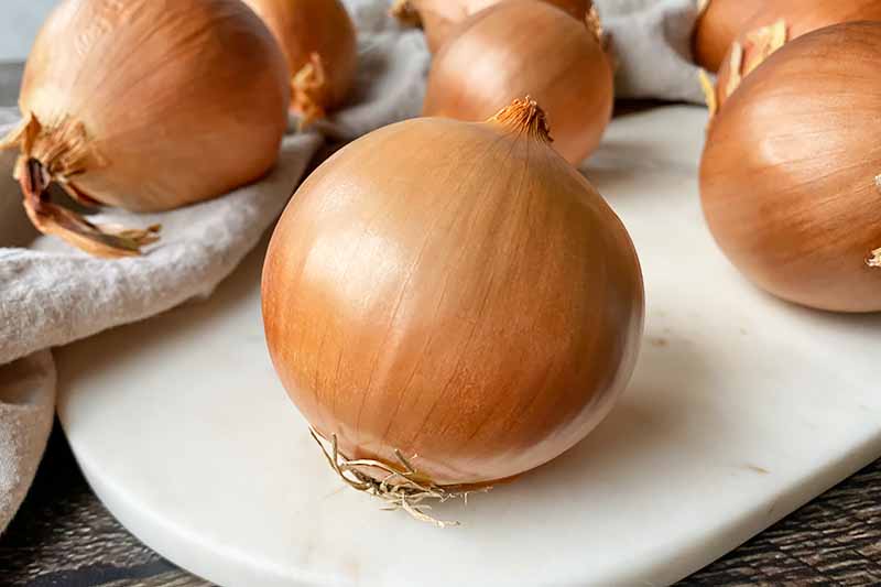 Horizontal image of whole unpeeled onions on a white cutting board.