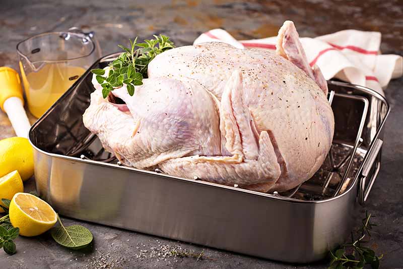 Horizontal image of a whole raw chicken in a pan with a metal rack insert next to lemons.