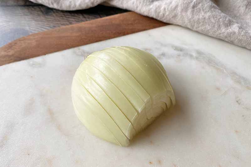 Horizontal image of a sliced onion half.