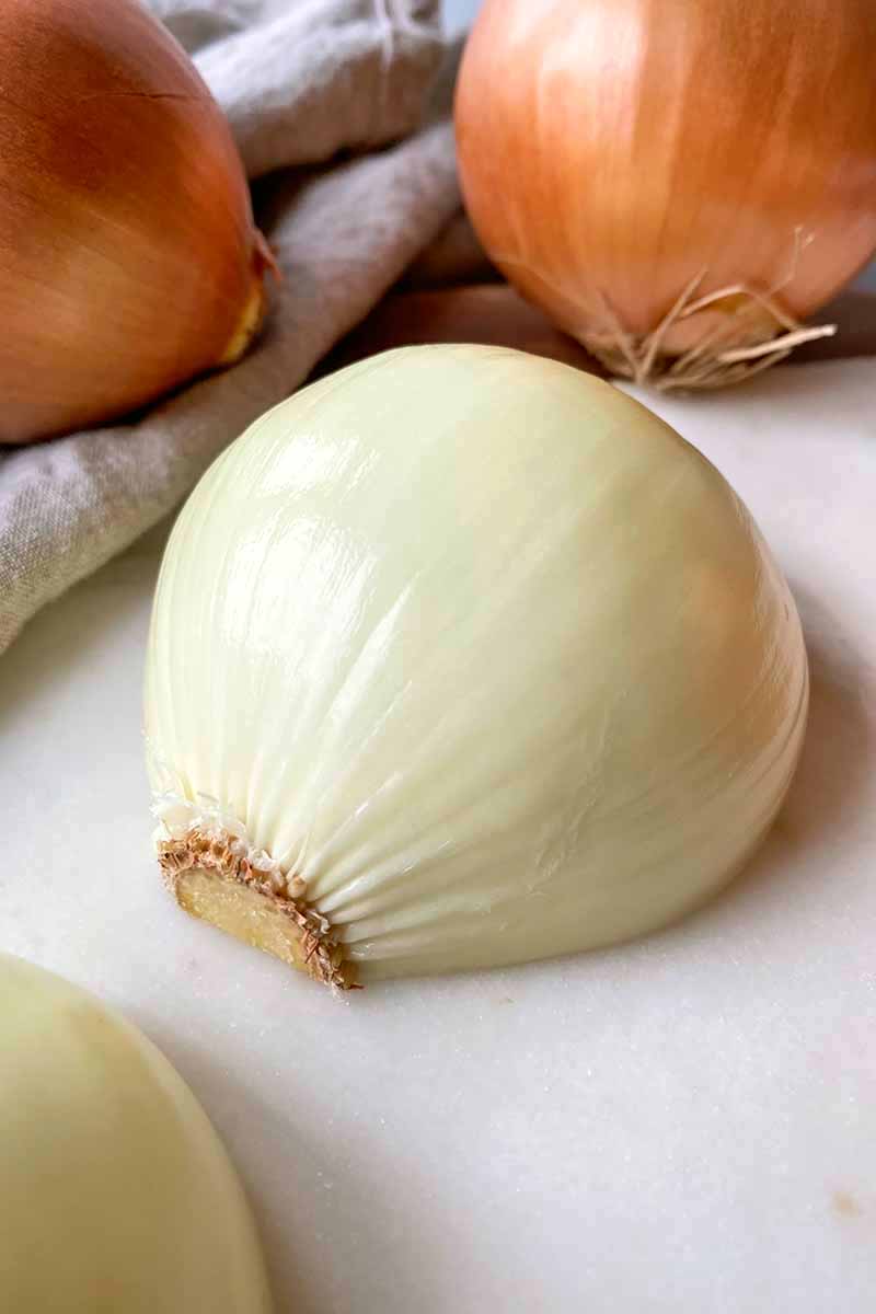Vertical image of a peeled and halved allium on a white surface.