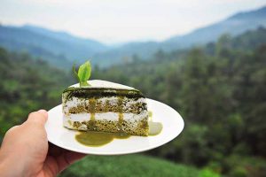 Tips for Baking at High Elevations