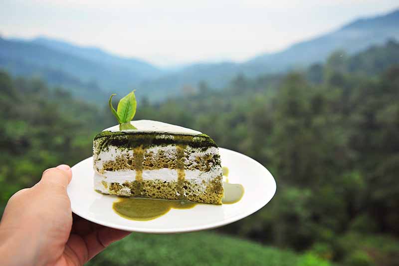 Horizontal image of a hand holding a green cake with whipped cream filling on a white plate overlooking mountains.