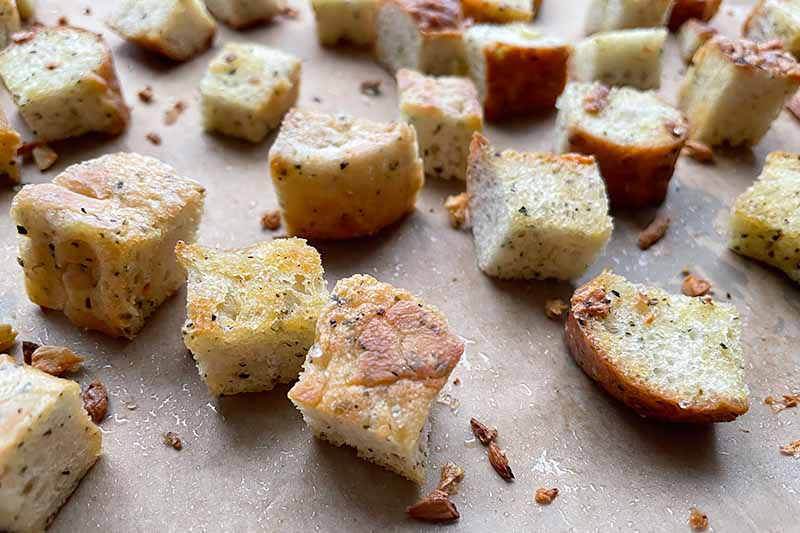 Horizontal image of toasted bread cubes.