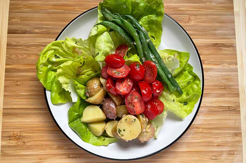 Horizontal image of dressed lettuce, sliced potatoes, sliced tomatoes, and green beans on a white plate.