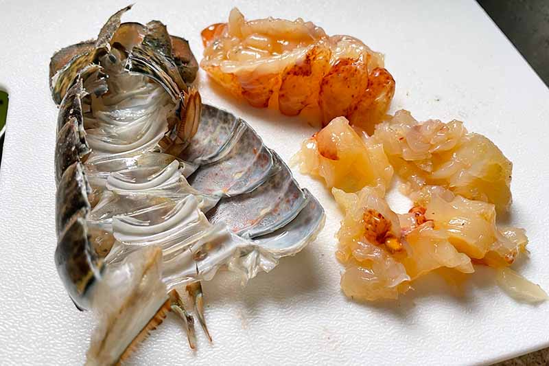 Horizontal image of chopped lobster meat removed from the shell.