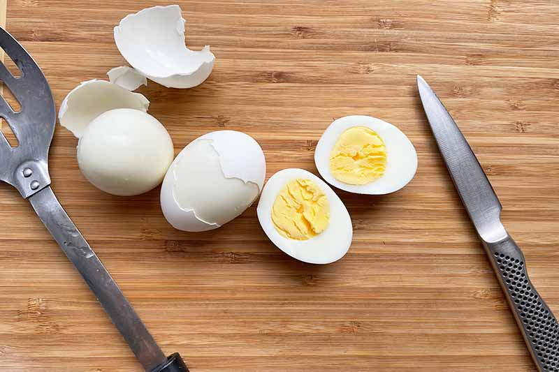Horizontal image of slicing hard-boiled eggs.