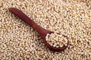 What Is Sorghum?
