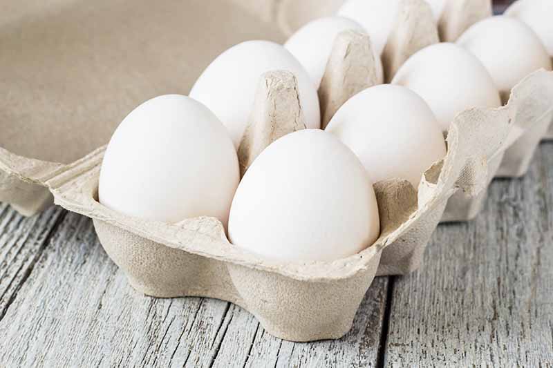 Horizontal image of a carton of white-shelled eggs on a wooden table.