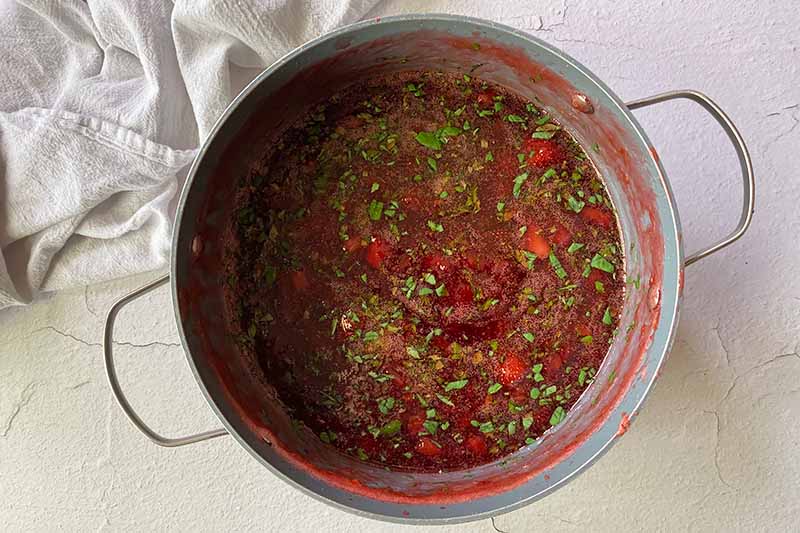 Horizontal image of a red liquid mixture with flecks of chopped herbs in a pot.