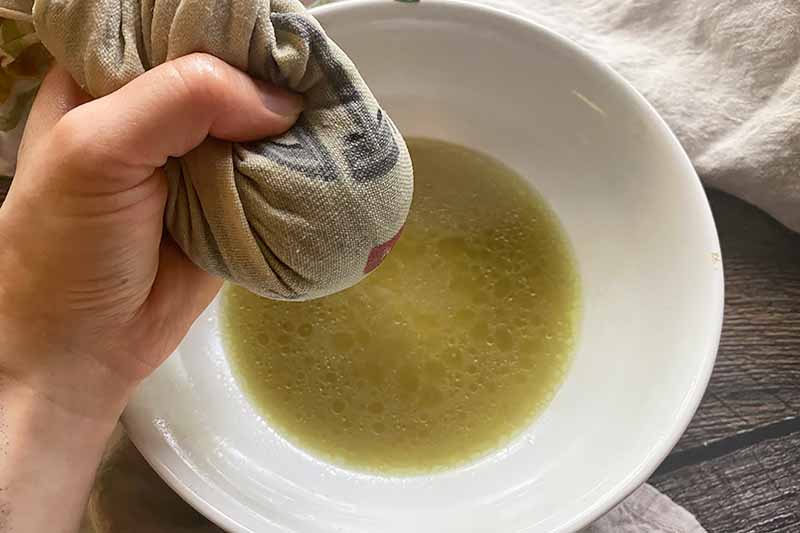 Horizontal image of squeezing out green liquid from a towel over a bowl.
