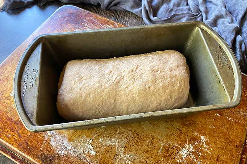 Horizontal image of an unbaked log of bread in a pan.